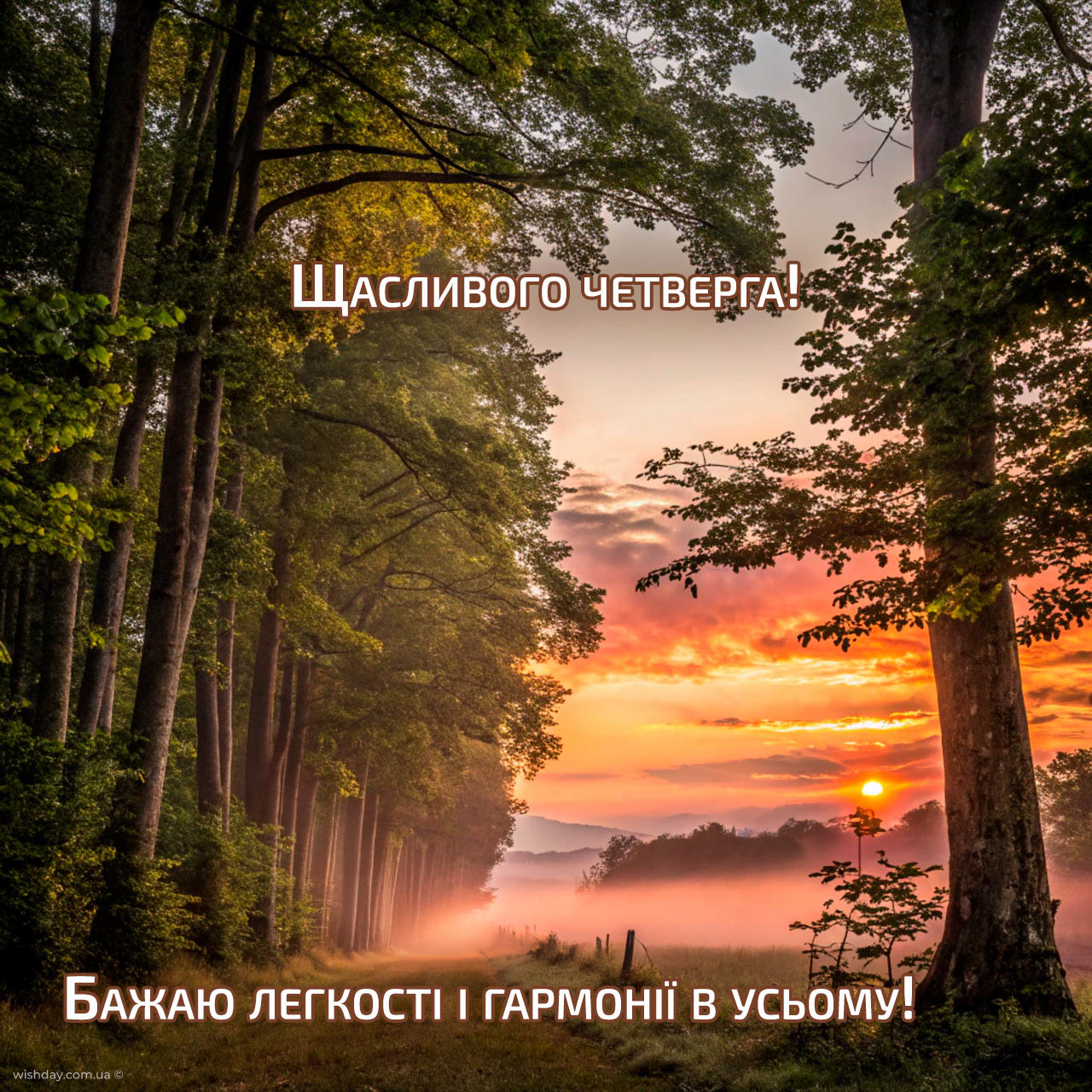 доброго ранку четвер картинки