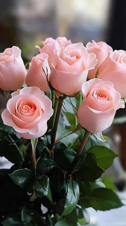 Картинка з днем народження дружині